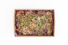 Load image into Gallery viewer, Vietnamese Style Noodle Slaw
