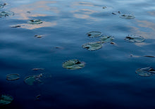 Load image into Gallery viewer, Turtle Lake