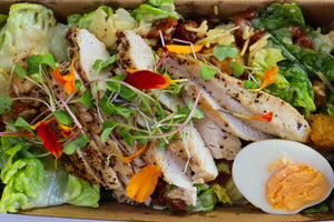 Protein Salads - Individual Boxed x6 salads