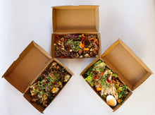 Load image into Gallery viewer, Protein Salads - Individual Boxed x6 salads