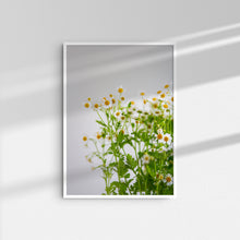 Load image into Gallery viewer, Daisies I