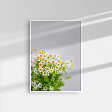 Load image into Gallery viewer, Daisies II