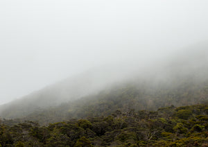 Kahurangi Mist IV