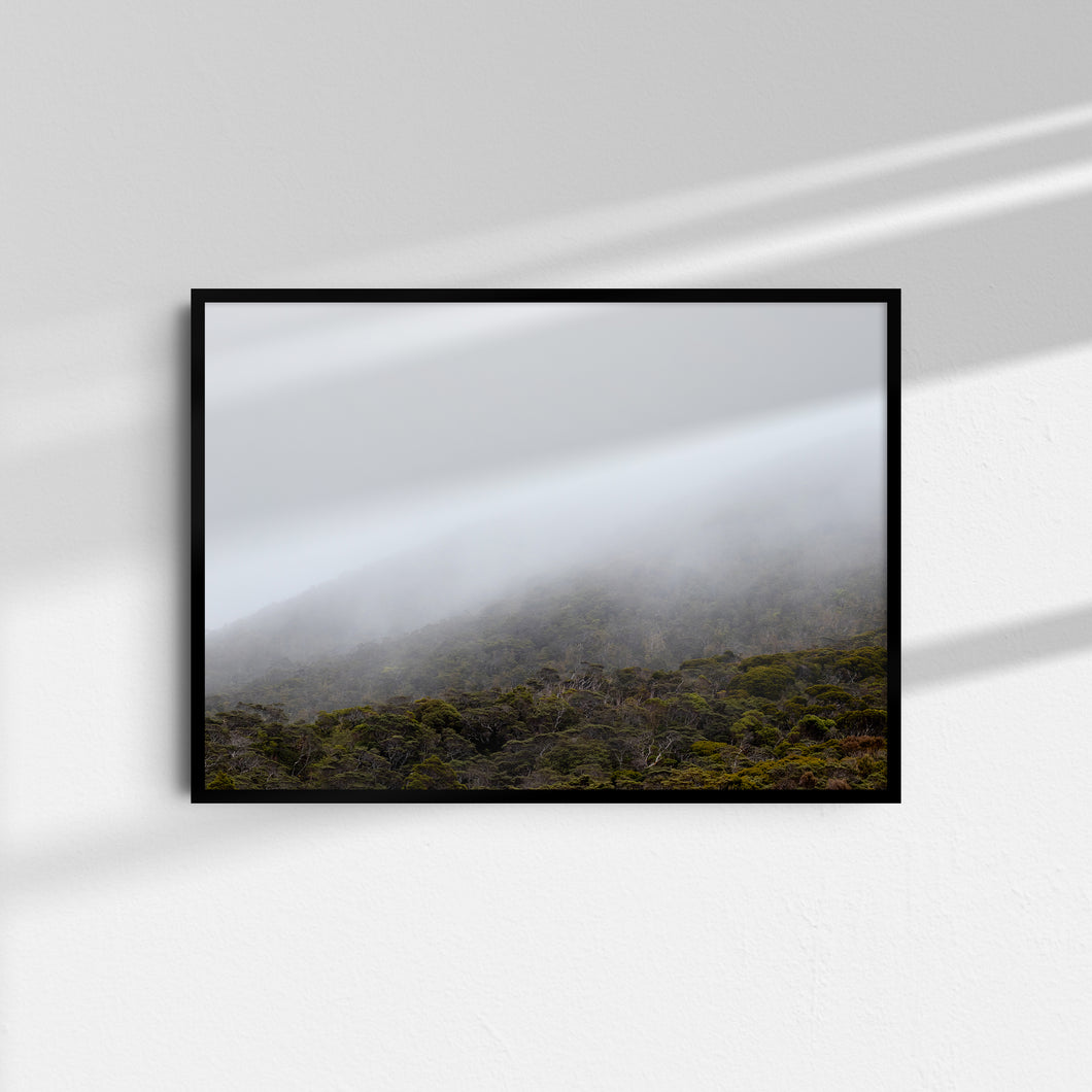 Kahurangi Mist IV