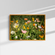 Load image into Gallery viewer, Poppies I