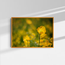 Load image into Gallery viewer, Poppies II